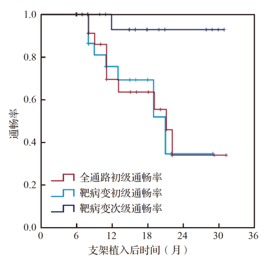 pta在医学上什么意思超声引导下镍钛合金支架植入——动静脉内瘘PTA后复发性狭窄治疗的新曙光_https://www.jmylbn.com_新闻资讯_第2张