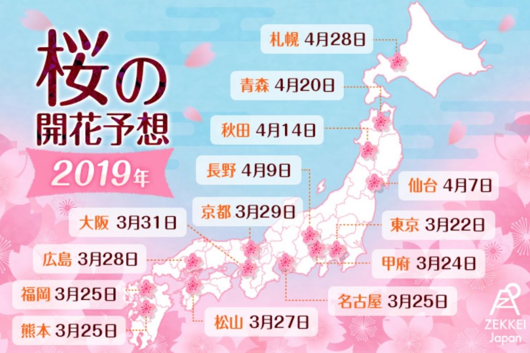 2019沖繩賞櫻攻略 | 1月，遇見全日本最早盛開的櫻花～ 旅行 第4張