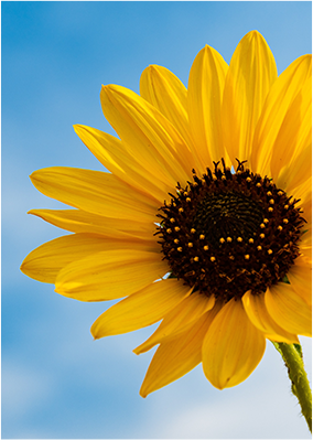 中秋遇上教师节——月圆人团圆，师恩自难忘