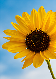 中秋遇上教师节——月圆人团圆，师恩自难忘