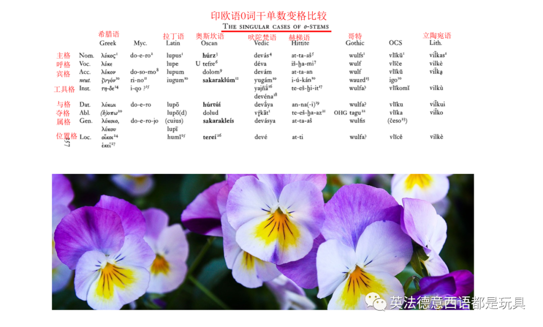 用最简单的逻辑思考复杂问题 印欧语系语言为什么会有屈折变化 英法德意西语都是玩具 微信公众号文章阅读 Wemp