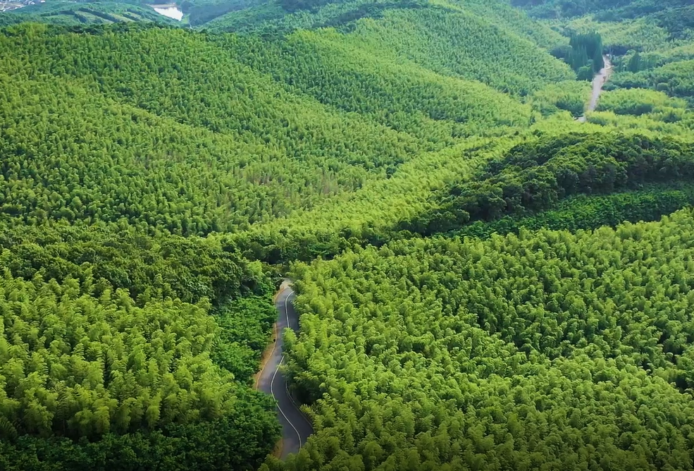 99%的人不知道的小眾避暑地！圈了25000㎡森林爆改整個村落，神仙野趣清涼到心醉! 旅遊 第6張