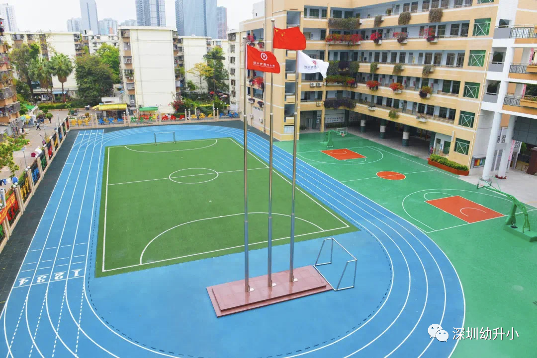 公办学校的翘楚！深圳这所全国排名11的老牌名校，学习压力还小！升学去向亮眼！相关资料 6