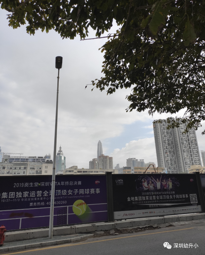 新增17065个学位！深圳即将开办的10所学校曝光！强大师资背景，个个都是潜力股！相关资料 6