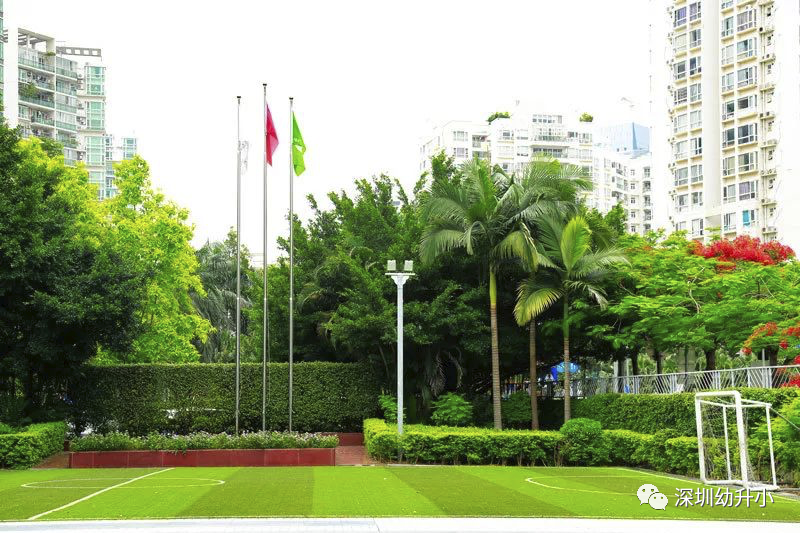 生源超好还可直升名校！深圳南山区数一数二的公办小学，深户需提前一年买房！相关资料 13
