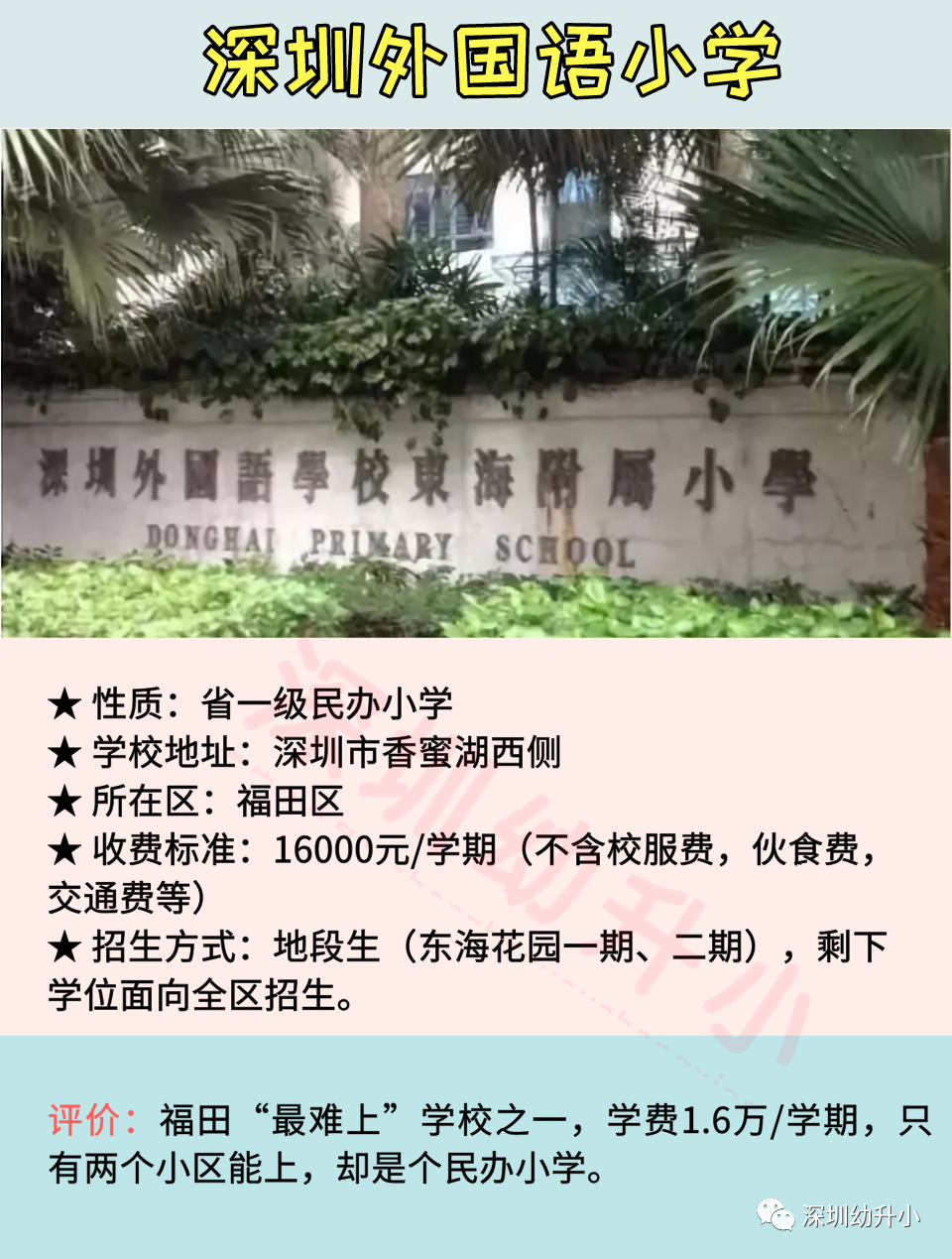 2020深圳十大热门小学盘点！师资好、评价高！多数地段生优先！相关资料 4