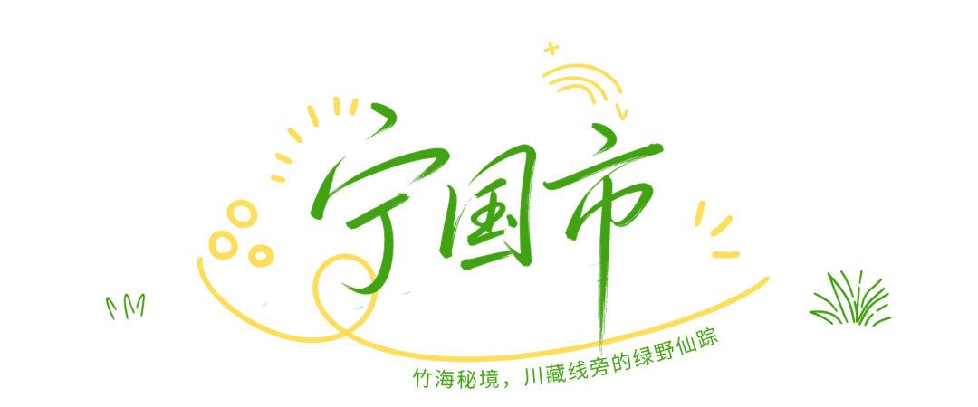 绿白色涂鸦照片风户外活动小红书封面 (3).png