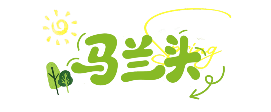 蓝色清新春日赏花小红书封面 (4).png