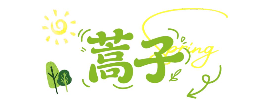 蓝色清新春日赏花小红书封面 (2).png