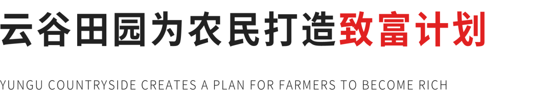 农民致富经_致富农民事迹登报纸_致富农民来谢恩