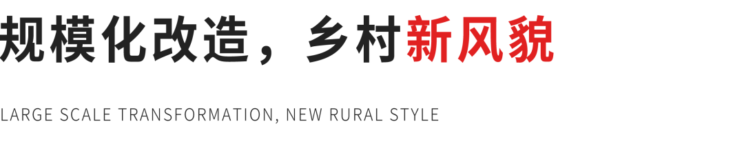 致富农民来谢恩_致富农民事迹登报纸_农民致富经