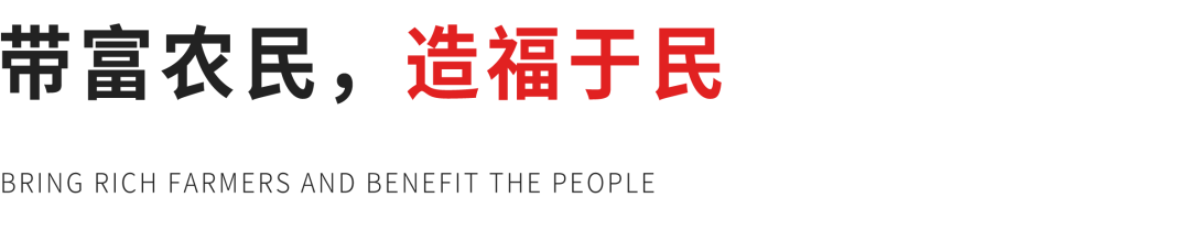 农民致富经_致富农民来谢恩_致富农民事迹登报纸