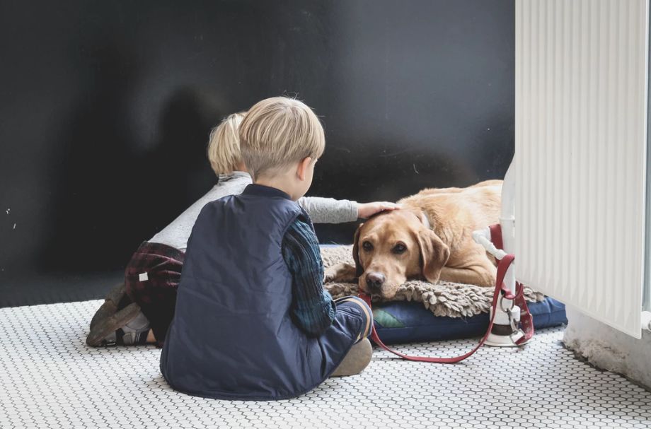 萌娃和寵物如何和諧相處？霍思燕告知你答案！ 寵物 第18張