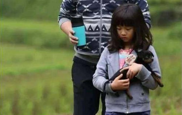 萌娃和寵物如何和諧相處？霍思燕告知你答案！ 寵物 第12張