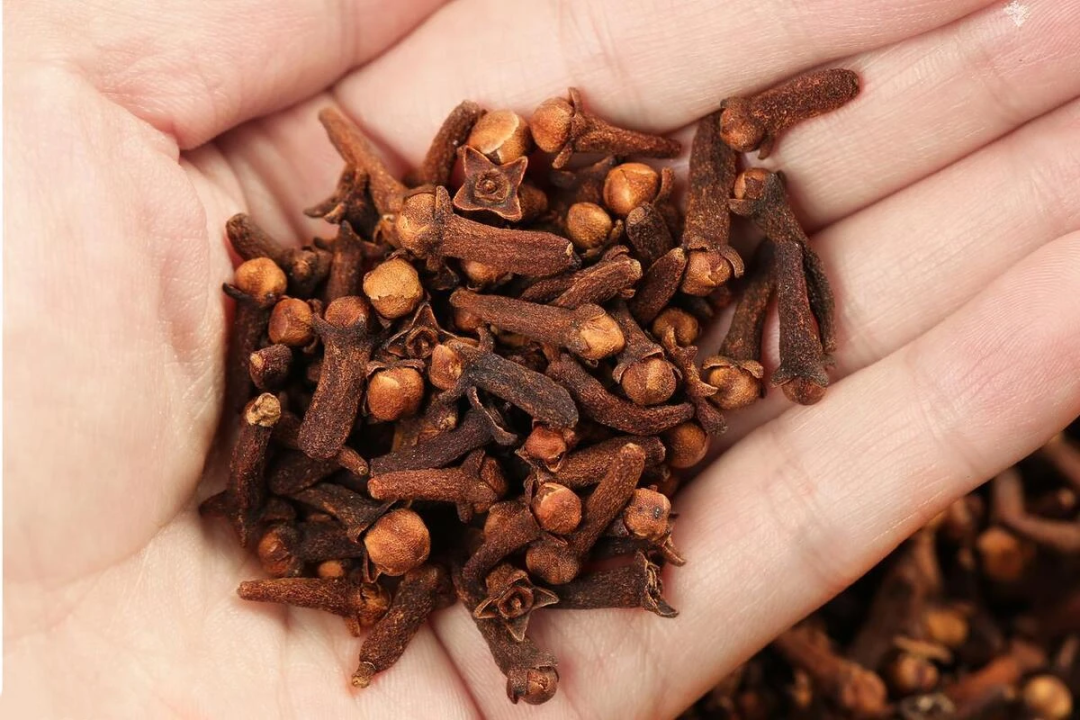 肉香是因为什么原因_肉香是什么香_香肉是什么肉