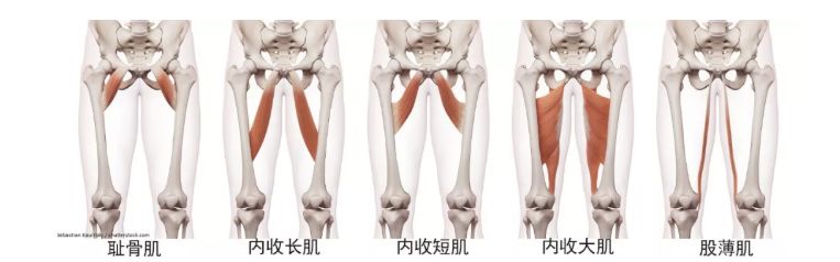 瘦大腿内侧最有效的办法