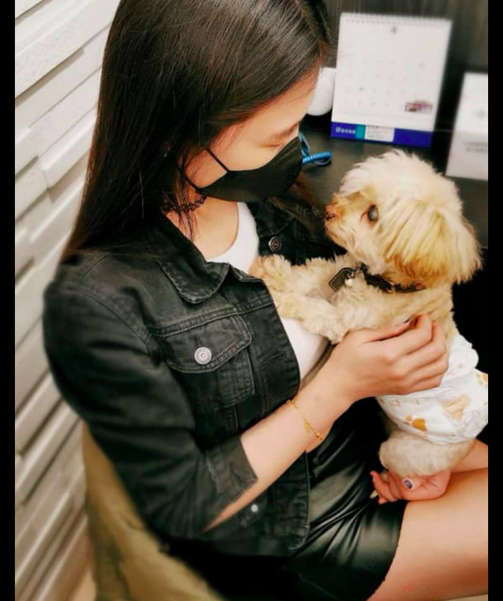 狗狗失去了一只眼 情侣分手后依然轮流照顾它 要一起做它的眼睛 柠檬资讯