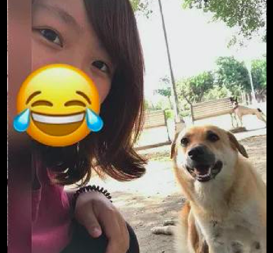 小狗追女孩让她产生恐惧，没想到10年后，她们再次相遇成为朋友