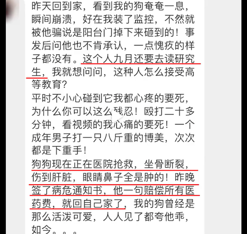 好心收留別人借住家中，對方竟毆打狗致重傷，準研究生如此做人？ 寵物 第5張