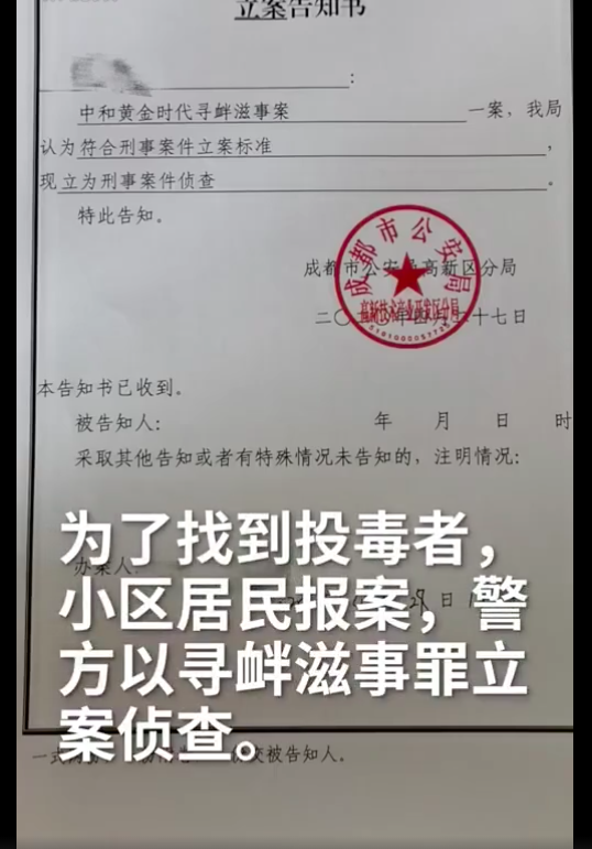 小區內15隻狗被投毒身亡，網友評論兩極分化，以後只能在家遛狗？ 寵物 第5張