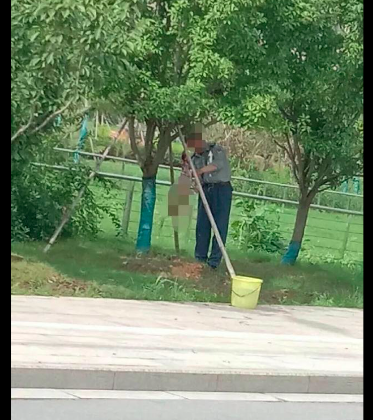 學生老師校長團寵的流浪狗，卻被警衛殘忍殺害剝皮，氣哭了一群人 寵物 第2張