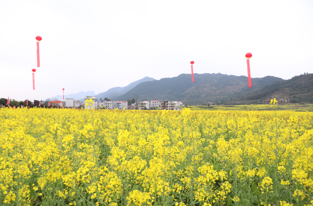 永新县以"花"为媒,通过群众性体育赛事进景区活动,充分展示永新旅游的