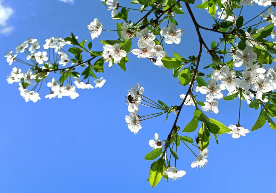 时间太快 人生太短 愿你离开时 不留遗憾 Hi有料