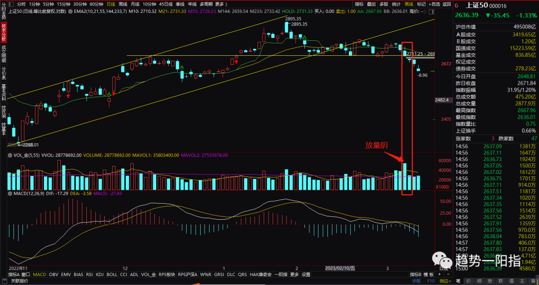 原文图片1