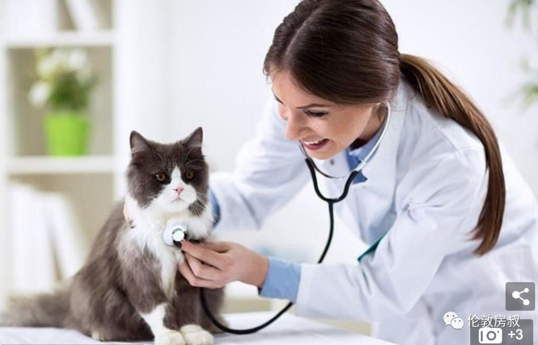 英国nhs医疗保险_nhs是什么_nhs美国高中荣誉生会