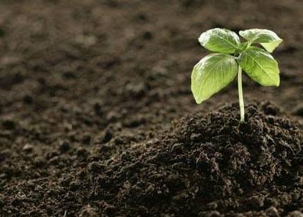 为什么要发展有机农业