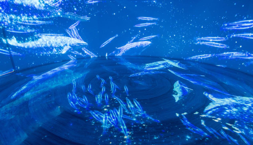 什么桂林投资有了新风向标未来的新蓝海竟然在这里