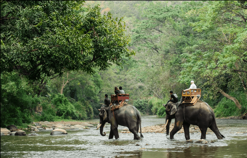 免签!+直飞!海水不输马代，这个1年仅开放6个月的低调海岛，即将爆火！