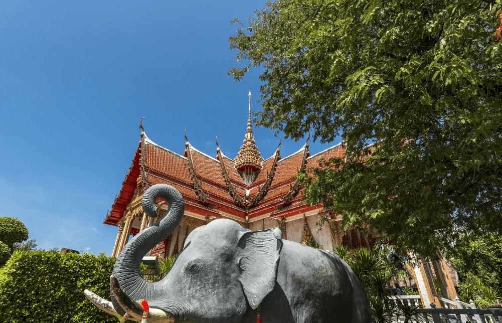 免签!+直飞!海水不输马代，这个1年仅开放6个月的低调海岛，即将爆火！