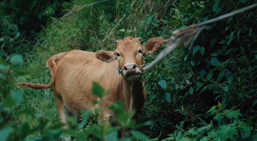 挖到藏在贵州的“夜郎古国”！山水不输新疆桂林，还是国内罕见徒步天堂！