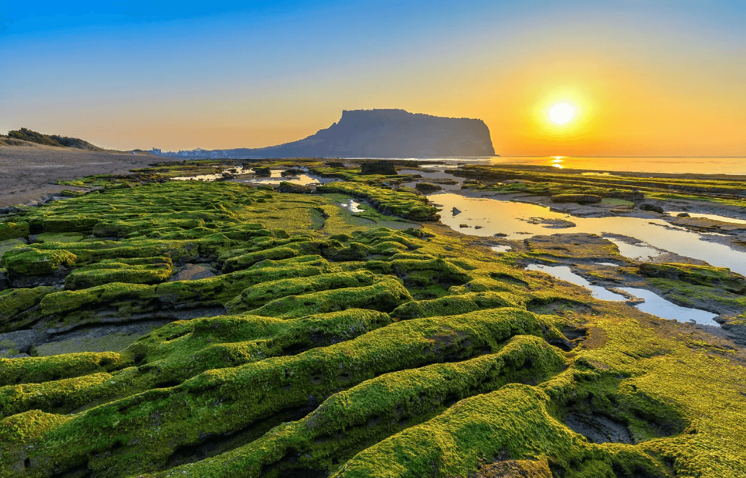 一半大海，一半旷野！这个藏着秘境的小众海岛，不仅直飞1.5h，最重要的是它免签！