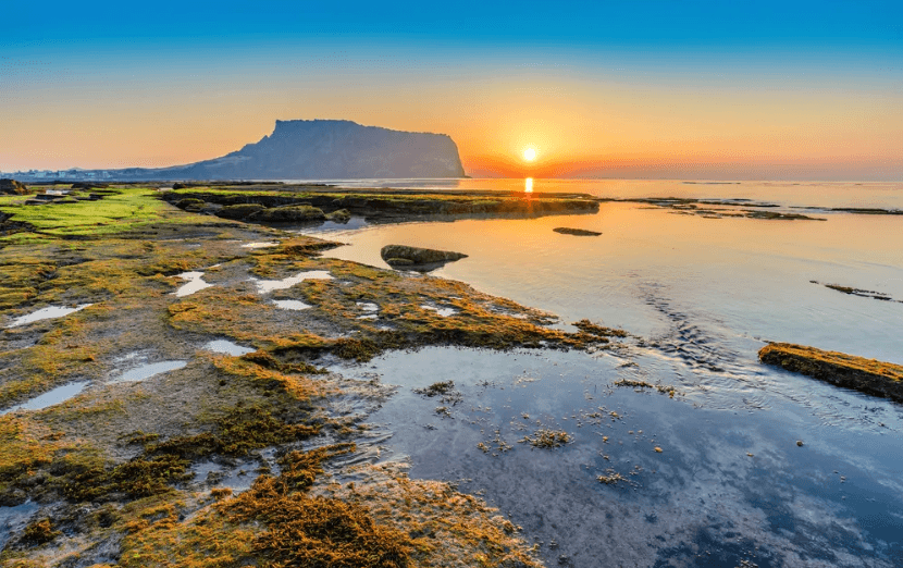 一半大海，一半旷野！这个藏着秘境的小众海岛，不仅直飞1.5h，最重要的是它免签！