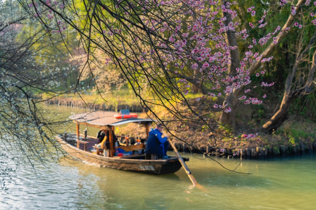 3月最佳旅行地 | 7元嗦粉、5元坐船、0元看花海，中国有的是好看又好吃的地方！