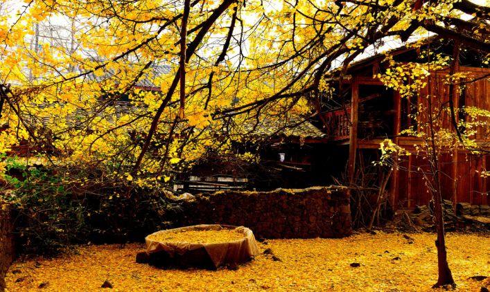 雲南最驚艷的秋色在這，比香格里拉更靜謐夢幻 旅行 第3張