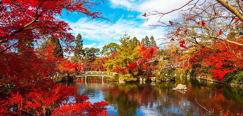 特大好消息 日本唯一由正规旅行社主催 国内旅程业务管理主任者 培训班 学员募集中 中日新闻 日中新闻 Infochina Jp