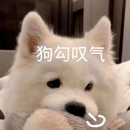 就拉踩前任妄想复出，他比爽子还疯？！