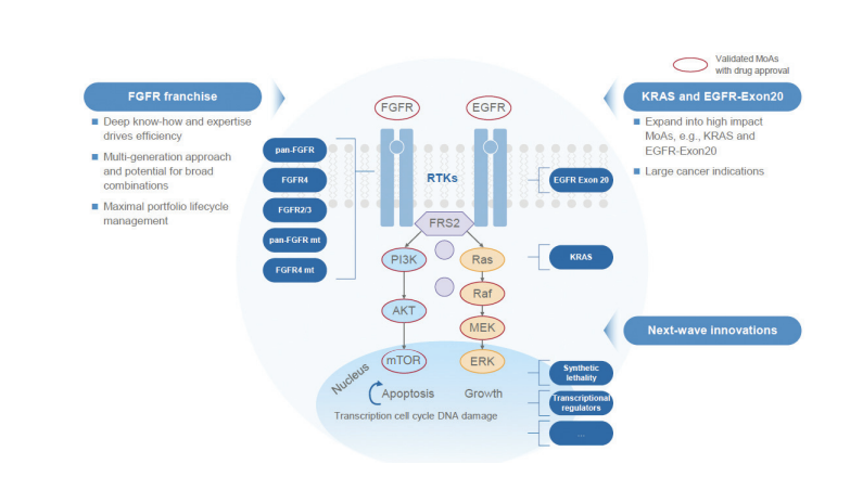 ABS什么药和誉医药 ｜ 全球首个FGFR2／3抑制剂ABSK061完成首例患者给药_https://www.jmylbn.com_新闻资讯_第4张