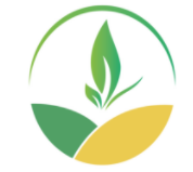 河南颐汇医疗科技有限公司