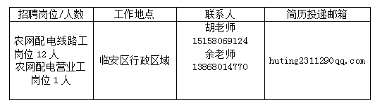 杭州大有供电服务有限公司临安恒通分公司【2023年招聘启事】