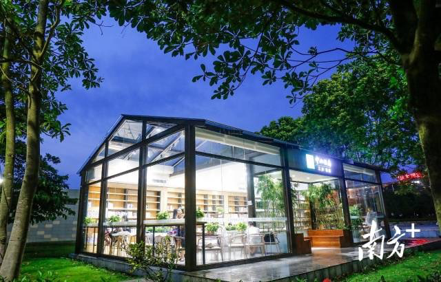 市民在中山三乡镇文化广场的中山书房内阅读。 南方+记者 叶志文 摄