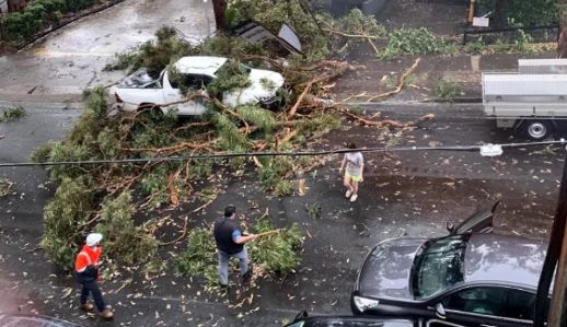 滚滚雷雨席卷悉尼！6.5万户停电，屋顶掀翻、树木倒塌、火车停运！多个华人区受影响，下午或有冰雹（组图） - 23