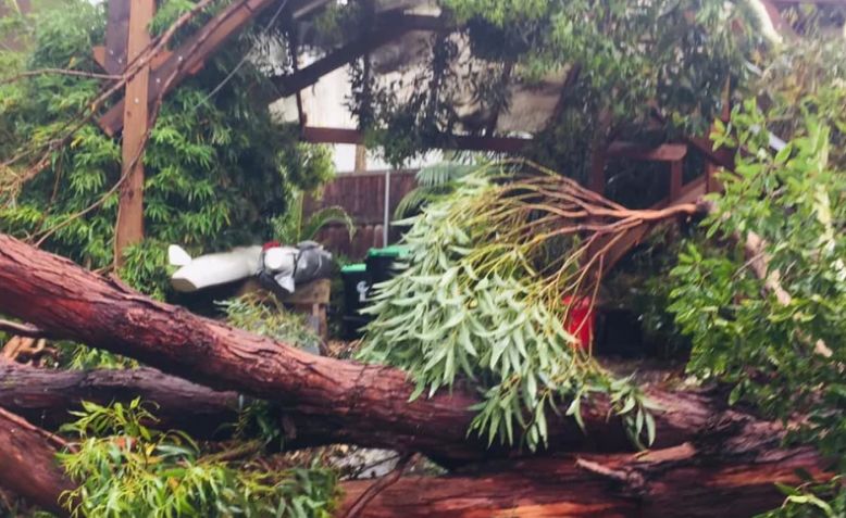 滚滚雷雨席卷悉尼！6.5万户停电，屋顶掀翻、树木倒塌、火车停运！多个华人区受影响，下午或有冰雹（组图） - 20