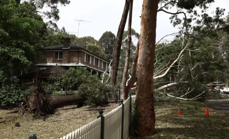 滚滚雷雨席卷悉尼！6.5万户停电，屋顶掀翻、树木倒塌、火车停运！多个华人区受影响，下午或有冰雹（组图） - 19