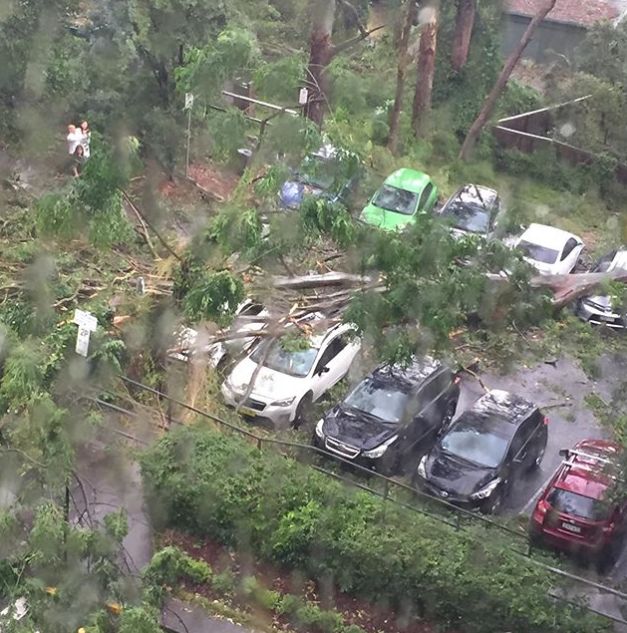 滚滚雷雨席卷悉尼！6.5万户停电，屋顶掀翻、树木倒塌、火车停运！多个华人区受影响，下午或有冰雹（组图） - 18