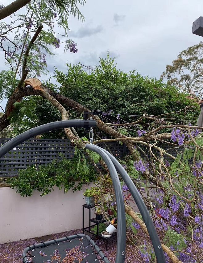 滚滚雷雨席卷悉尼！6.5万户停电，屋顶掀翻、树木倒塌、火车停运！多个华人区受影响，下午或有冰雹（组图） - 21