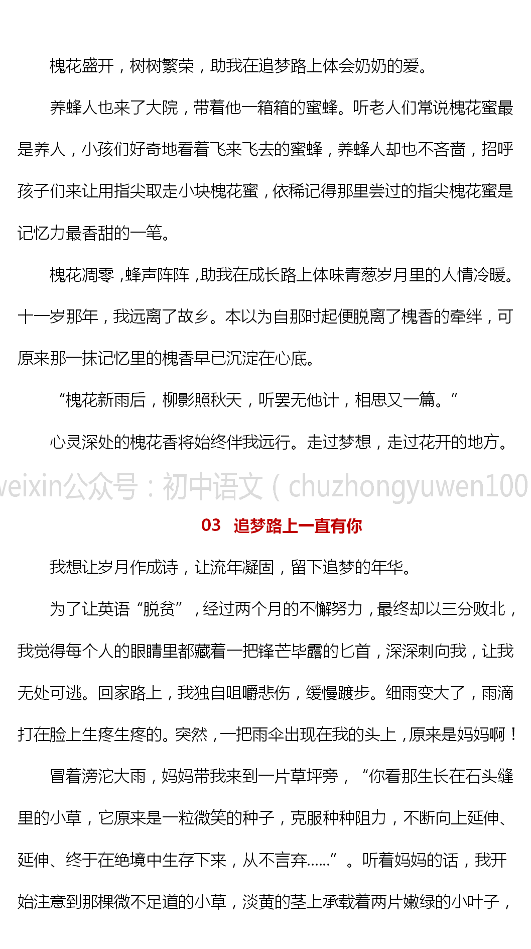 21中考满分作文 追梦路上一直有你 全网搜